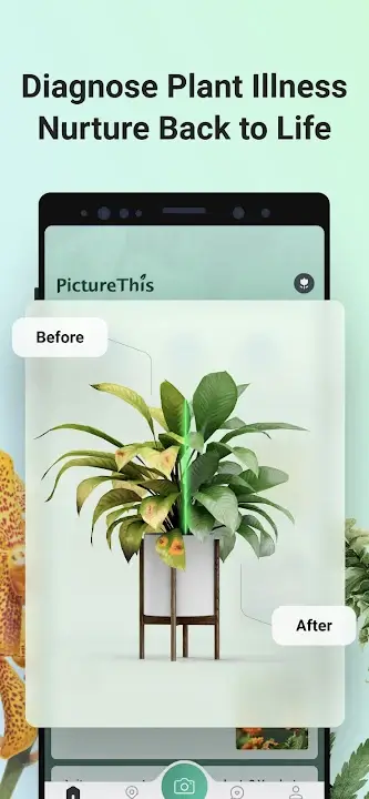 PictureThis MOD APK